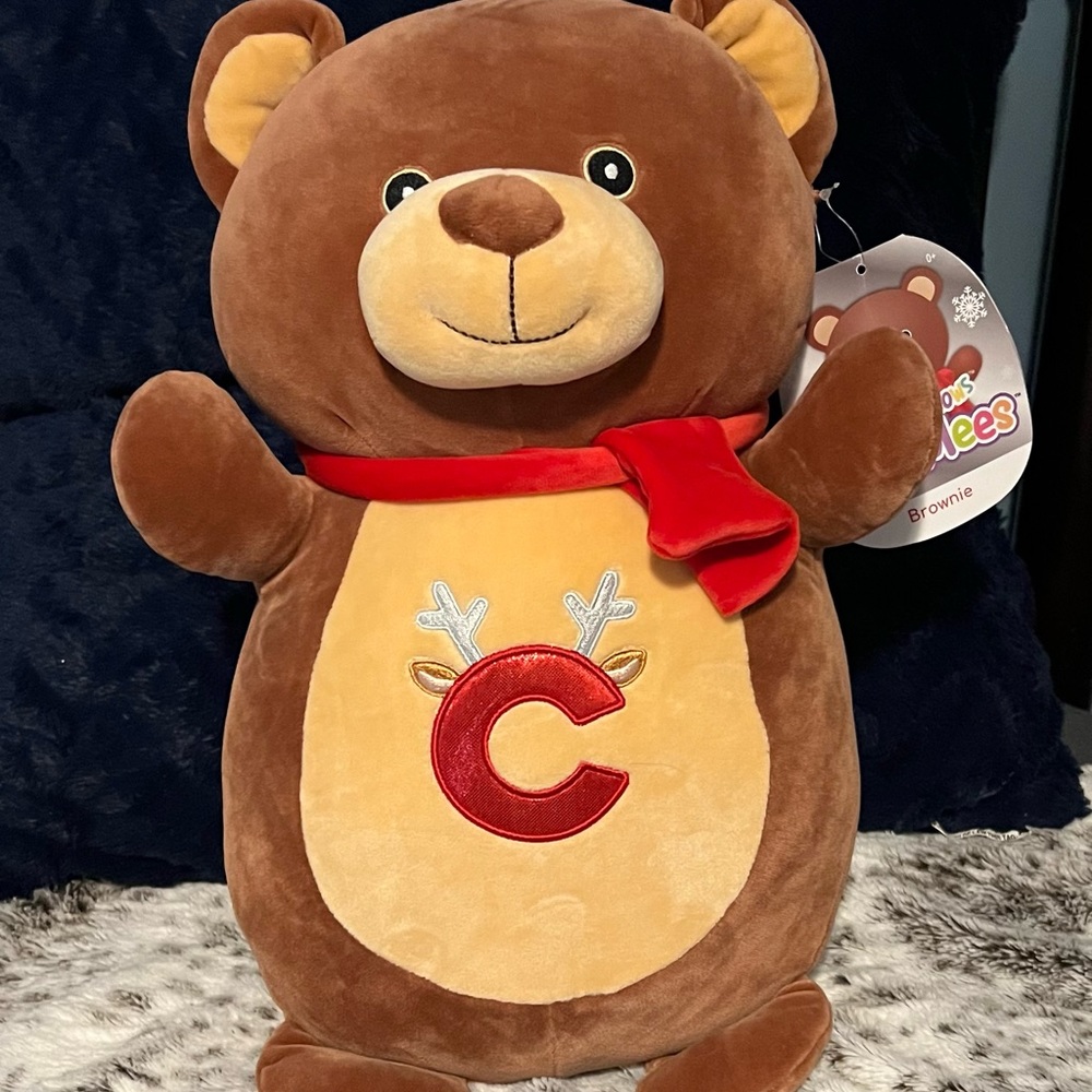 Squishmallows hug me Brownie the bear new with tags
